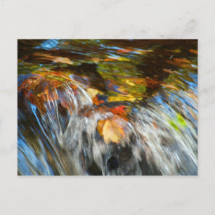 Wasserfallende Blätter Postkarte