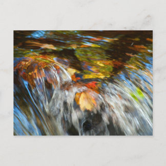 Wasserfallende Blätter Postkarte