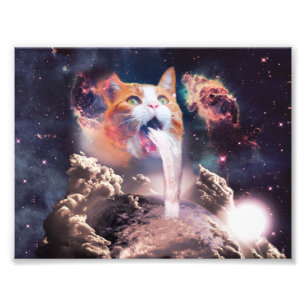 Wasserfallkatze Fotodruck