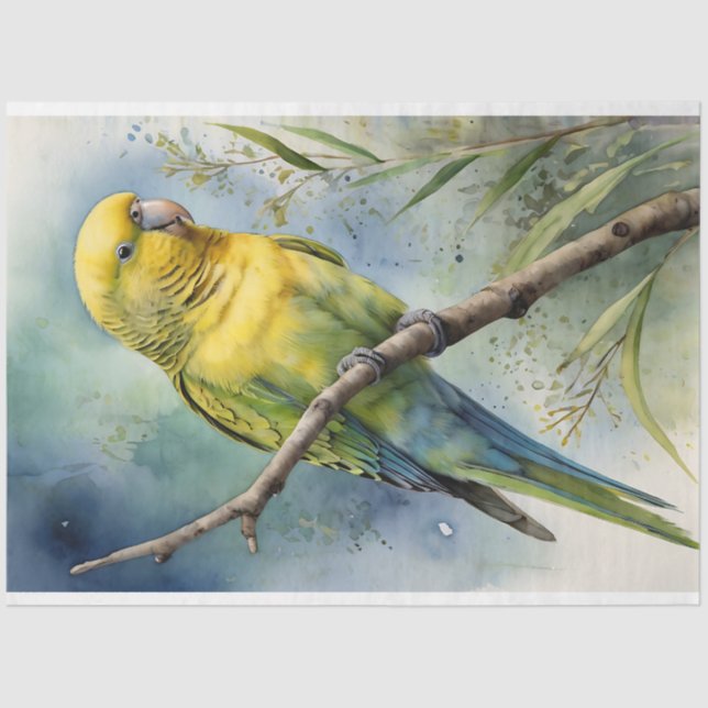 Wasserfarbe Budgie Parakeet Dekoupage Seidenpapier (Vorderseite)