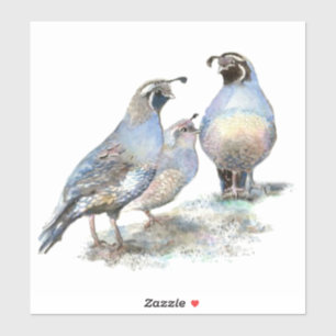 Wasserfarbe California Quail Bird Nature Aufkleber