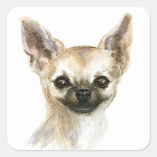 Wasserfarbe Chihuahua Welpe Hund Chiwawa Mama Quadratischer Aufkleber