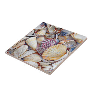 Wasserfarbe der Muscheln Ocean Beach Fliese