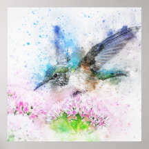 Wasserfarbe des Kolibris