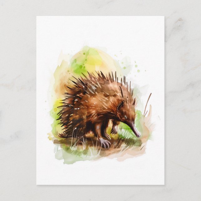 Wasserfarbe Echidna in natürlicher Umgebung Postkarte (Vorderseite)