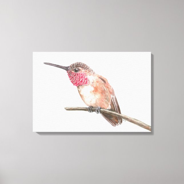 Wasserfarbe Hummingvogel Leinwanddruck (Vorderseite)