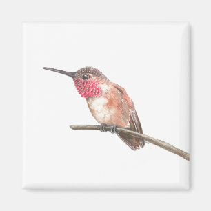 Wasserfarbe Hummingvogel Magnet