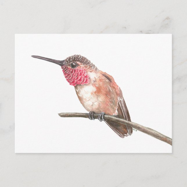 Wasserfarbe Hummingvogel Postkarte (Vorderseite)