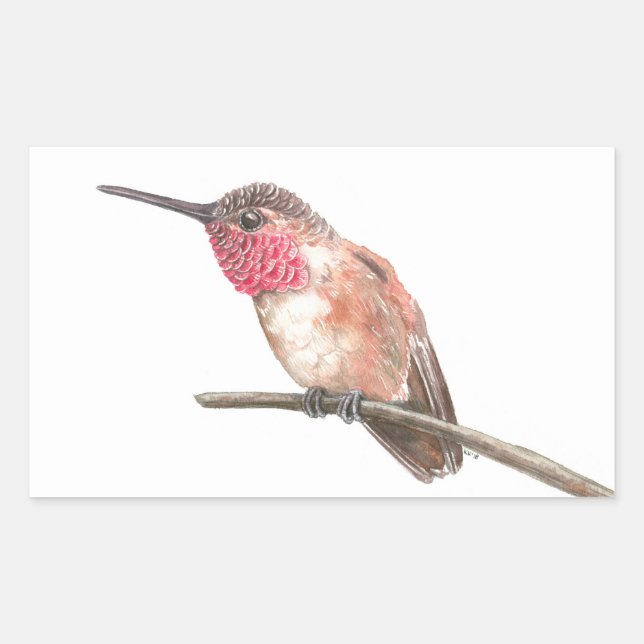 Wasserfarbe Hummingvogel Rechteckiger Aufkleber (Vorderseite)