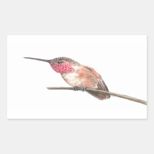 Wasserfarbe Hummingvogel Rechteckiger Aufkleber