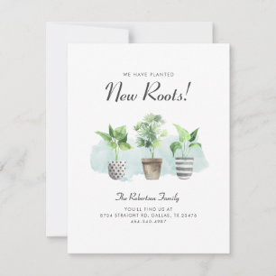 Wasserfarbe Kakteen Planted New Roots Moved Moved  Ankündigung