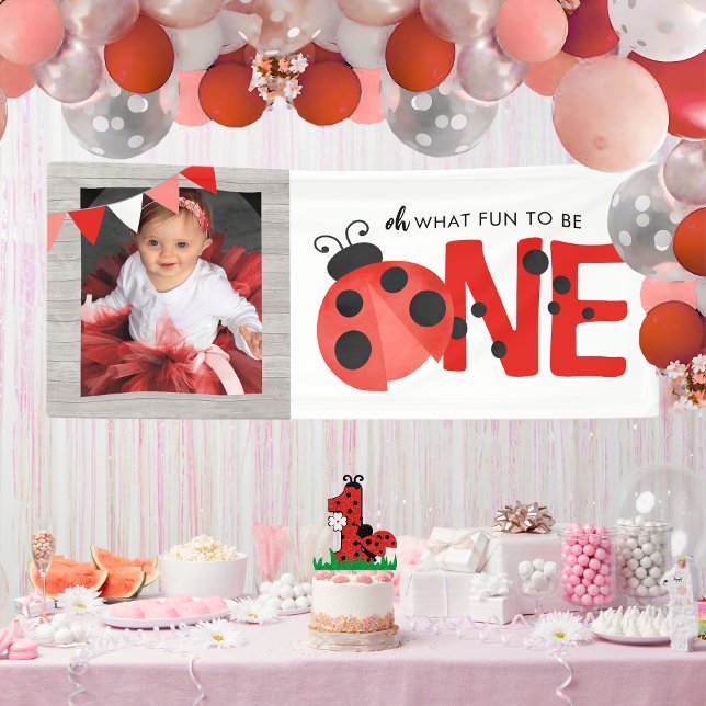 Wasserfarbe Ladybug Oh, was Spaß ein Foto Party Banner (Oh What Fun to Be ONE Watercolor Ladybug Hanging Photo Birthday Vinyl Banner With Wood Accent)