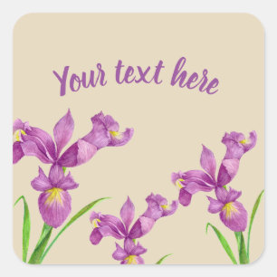 Wasserfarbe Lila Iris Botanische florale Kunst, Di Quadratischer Aufkleber