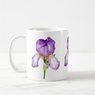 Wasserfarbe Lila Iris Botanische Tasse der Blumenp