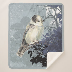Wasserfarbe Niedlich Grau Jay Bird Wilhelm Tell Sherpadecke