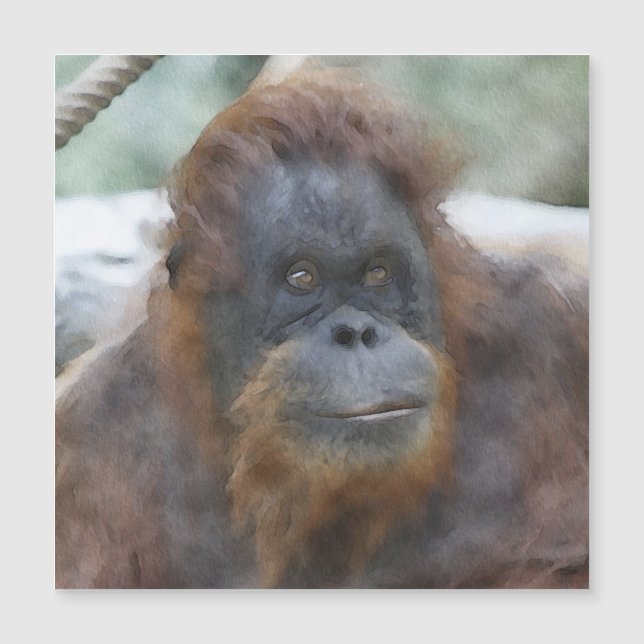 Wasserfarbe Orang Magnetkarte (Vorderseite)