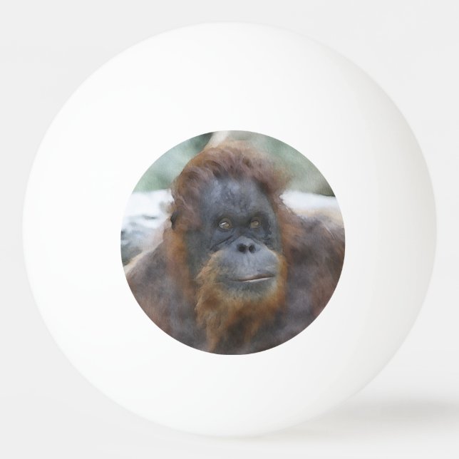 Wasserfarbe Orang Tischtennisball (Vorderseite)