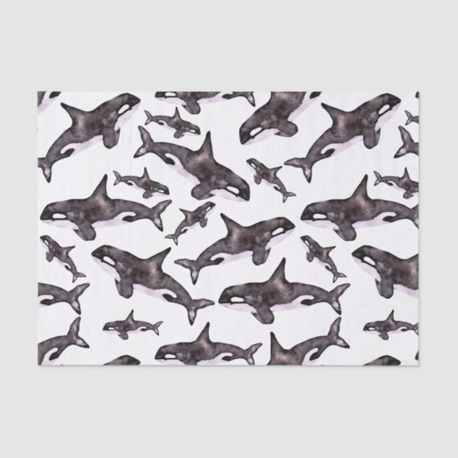 Wasserfarbe Orca Seidenpapier (Vorderseite)