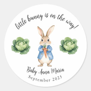 Wasserfarbe Peter Rabbit Garden Cabbage Babydusche Runder Aufkleber
