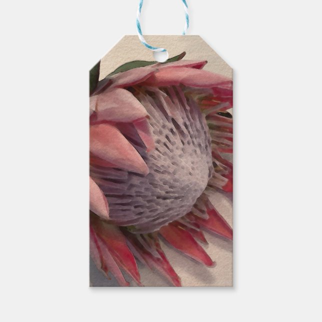 Wasserfarbe Protea Geschenkanhänger (Vorderseite)