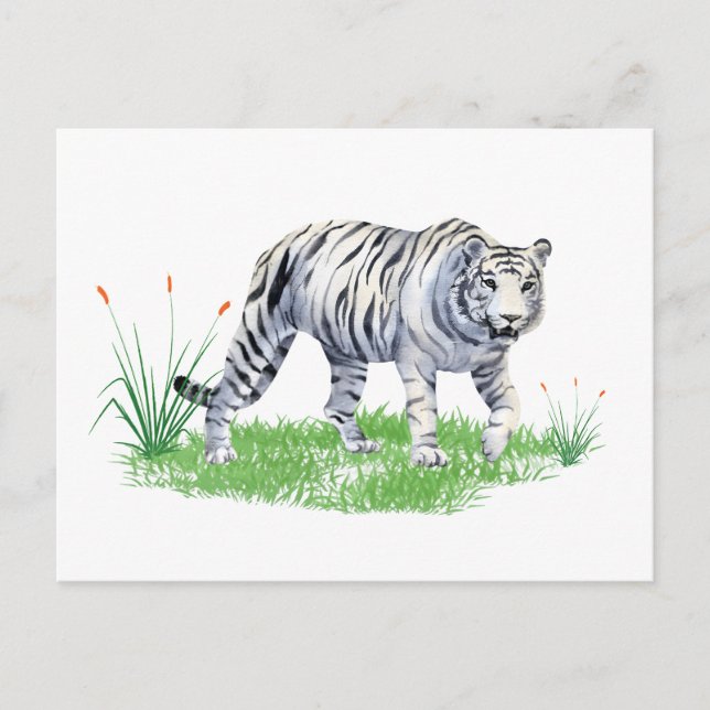 Wasserfarbe Schöner weißer Tiger Postkarte (Vorderseite)