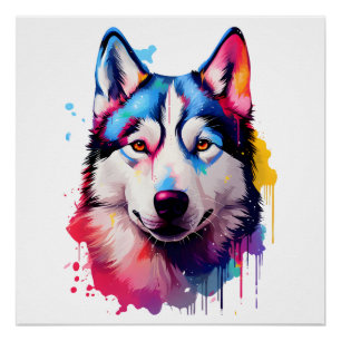 Wasserfarbe Sibirische Husky Farben Kunst Poster