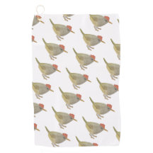 Wasserfarbe Songbird Mountain Tailorbird