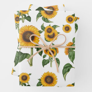 Wasserfarbe Sonnenblumen Botanische Blattpflanzen Geschenkpapier Set
