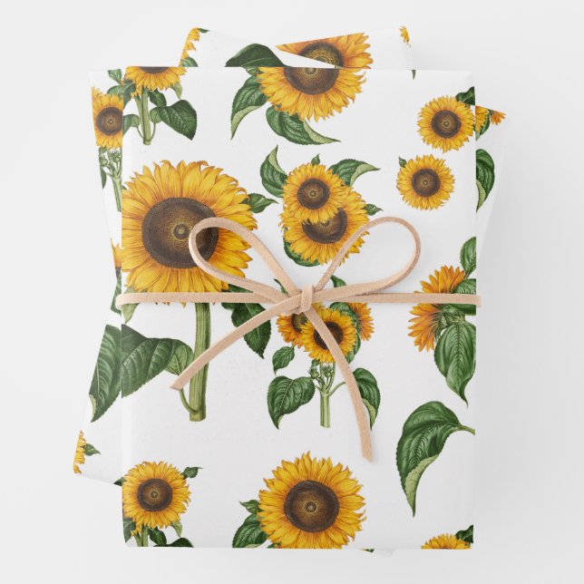 Wasserfarbe Sonnenblumen Botanische Blattpflanzen Geschenkpapier Set (Beispiel)