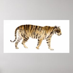 Wasserfarbe Tiger Wandern Poster