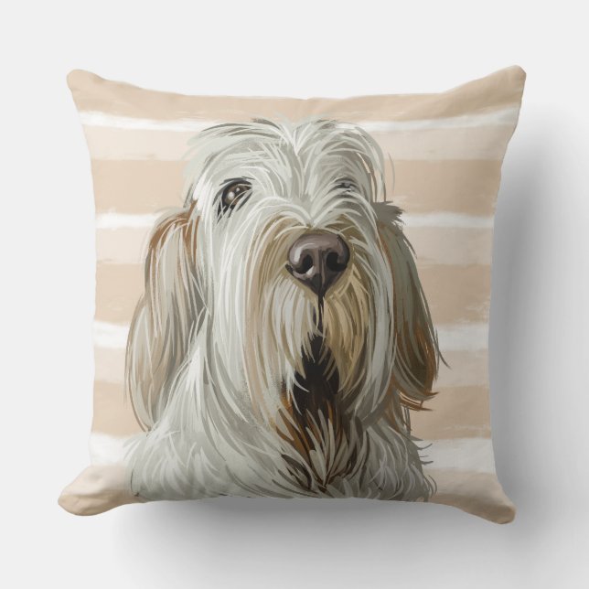 WASSERFARBE WEISS & TAN SPINONE ITALIANO HUNDE GES KISSEN (Vorderseite)