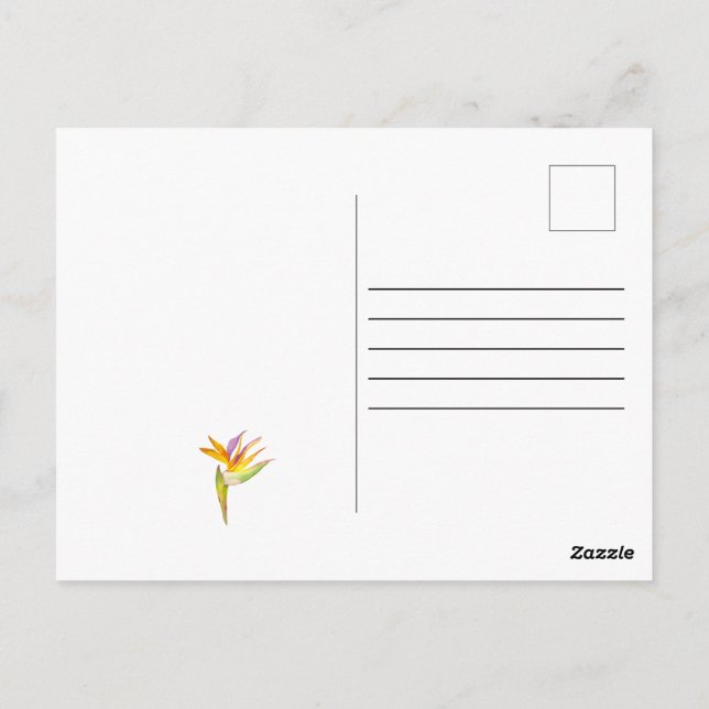 Wasserfarbe zeichnend Kakaduspapagei Postkarte (Rückseite)