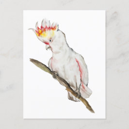 Wasserfarbe zeichnend Kakaduspapagei Postkarte