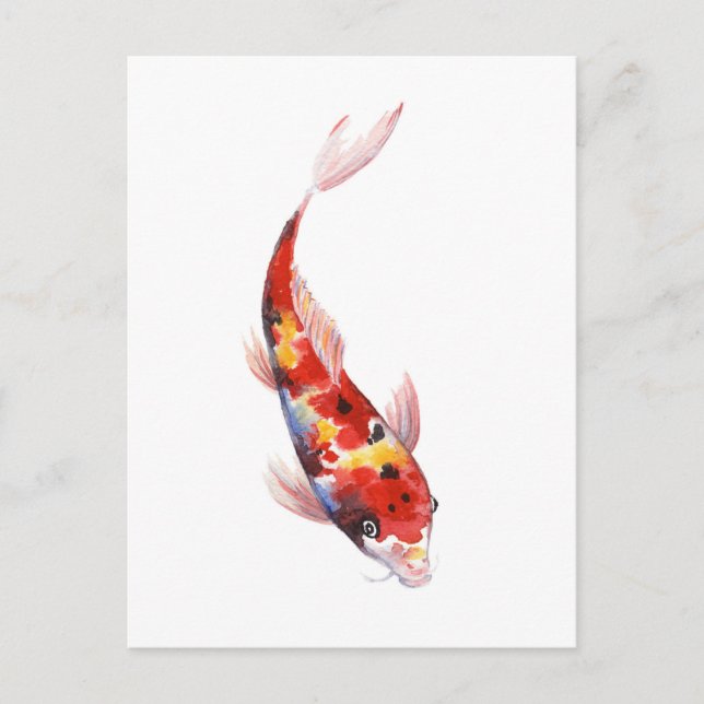 Wasserfarbe zeichnend Koi Carp Postkarte (Vorderseite)