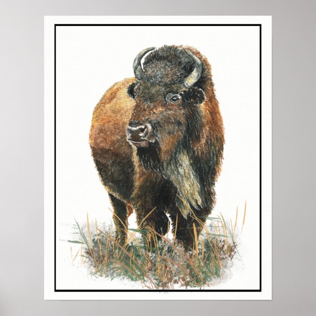 Wasserfarben Bison Buffalo Poster (Vorne)