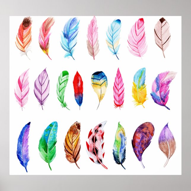 Wasserfarben Federn: Schöne Sammlung Vintag. Poster (Vorne)
