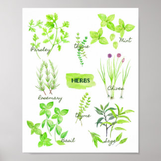 Wasserfarben-Herberge Poster