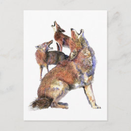 Wasserfarben Howling Coyotes Tierart Postkarte