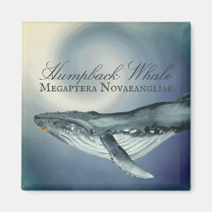Wasserfarben-Humpback-Wal, Megaptera Novaeangliae Magnet