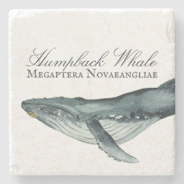 Wasserfarben-Humpback-Wal, Megaptera Novaeangliae Steinuntersetzer