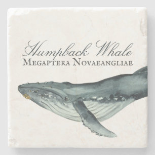 Wasserfarben-Humpback-Wal, Megaptera Novaeangliae Steinuntersetzer