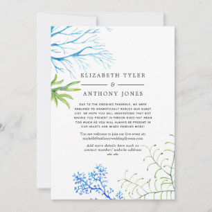 Wasserfarben - Liste der gekürzten Algen Ankündigung