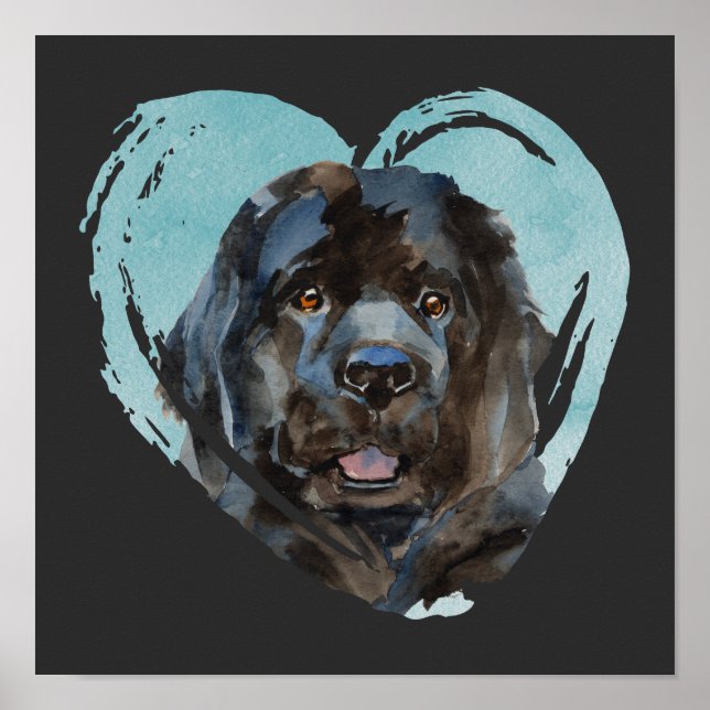 Wasserfarben-Neufundland-Portrait Poster (Vorne)