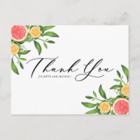 Wasserfarben Orangen & Grapefruits Sommer Vielen D