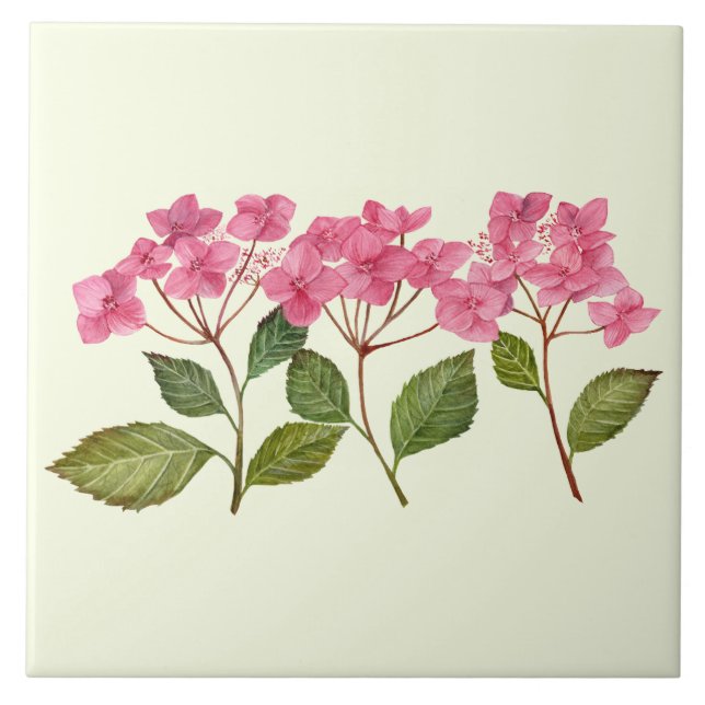 Wasserfarben-Rosa-Hydrangea Lacecaps-Muster Fliese (Vorderseite)