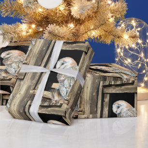 Wasserfarbenauge im Vogelschutzfenster Kunst Geschenkpapier