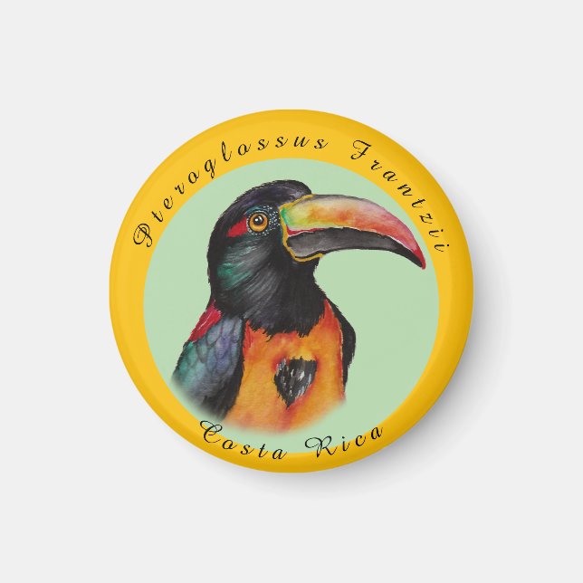 Wasserfarbenberührer Magnet (Vorne)