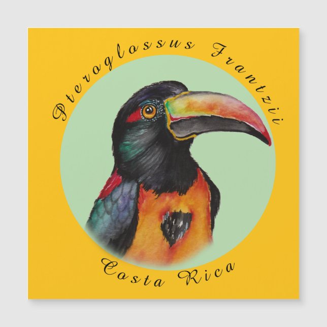 Wasserfarbenberührer Magnetkarte (Vorderseite)