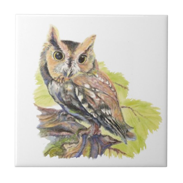 Wasserfarbencreme Owl Bird Wildlife Fliese (Vorderseite)