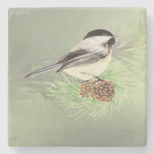 Wasserfarbene Chickadee im Pine Tree Bird Arena Steinuntersetzer
